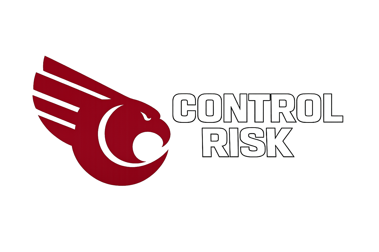 Control Risk